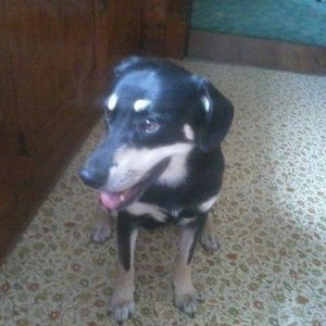 Meet your Posher, Luanne